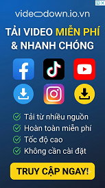 VideoDown.io.vn Banner